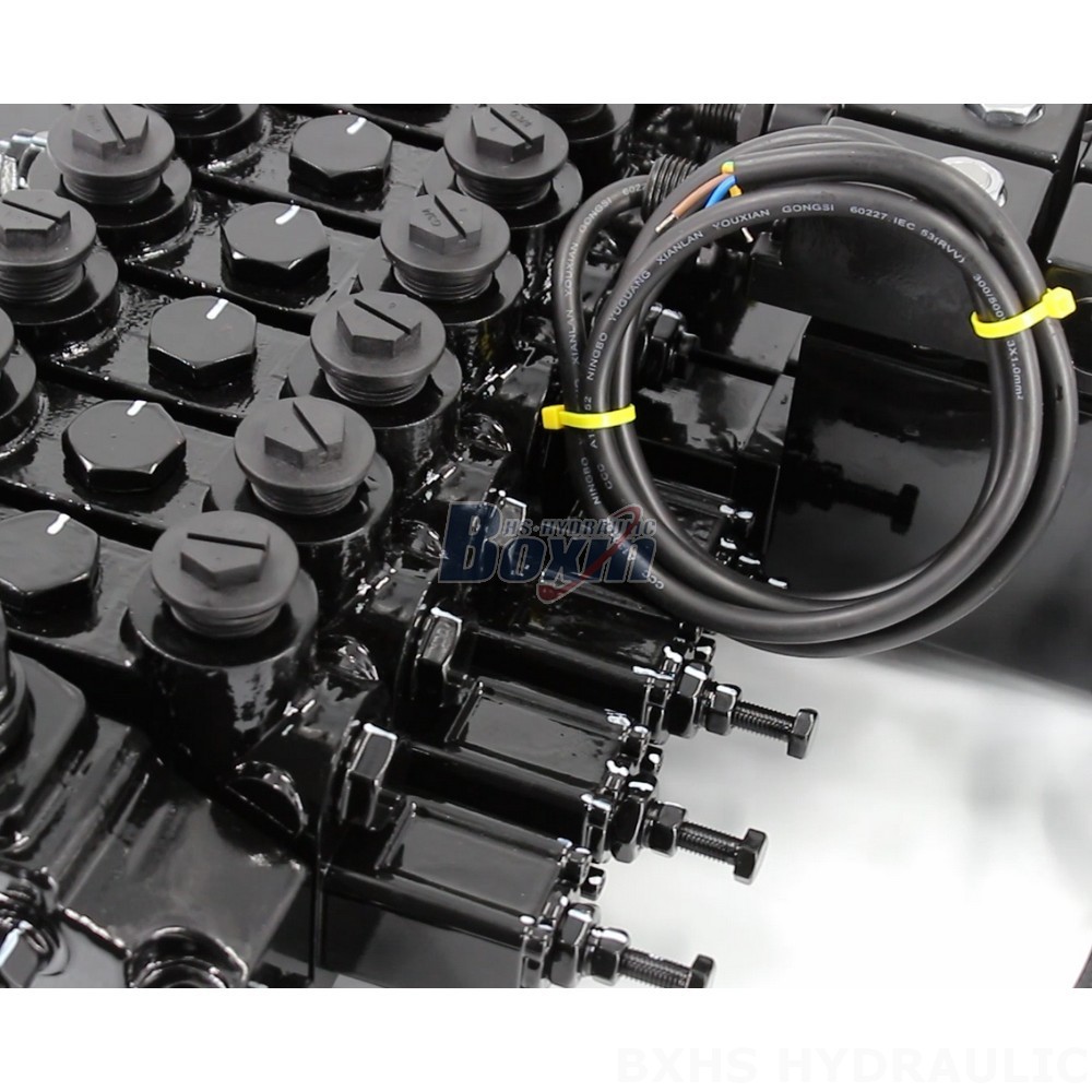 Explore Partnership Opportunities: Collaborate on DCV150-10-NPT Hydraulic Valve Distribution detail image